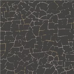 2-5917 - Papel Pintado pared patrón craquelado negro