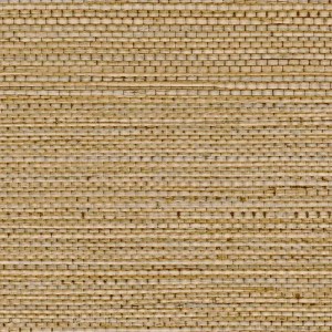 75972140 GOLFE DU BENGALE