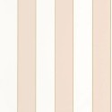 101070103 Basics
