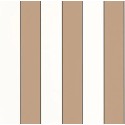 101070217 Basics