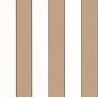 101070217 Basics