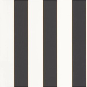 101072092 Basics
