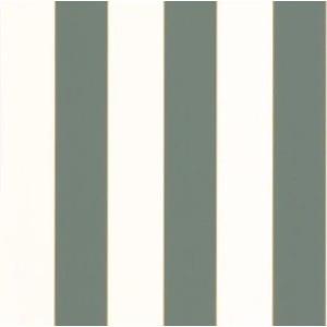 101077144 Basics