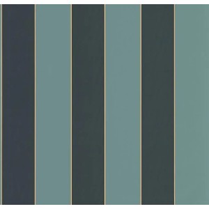 101077270 Basics