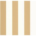 104022020 Basics