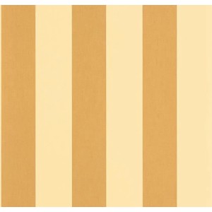 104042235 Basics