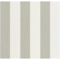 104049169 Basics