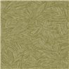 Caselio Borneo 106517187