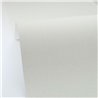 Caselio Xxl Lines 106727001