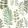 Caselio Florium 106660782