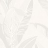 384505 VIVID