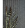 Papel Pintado 220-5287
