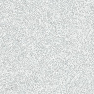 10303-10 FOCUS
