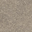 10303-37 FOCUS