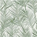 2-5602 - Papel Pintado hojas palmera relieves
