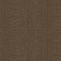 313533 CANVAS
