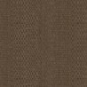 313533 CANVAS